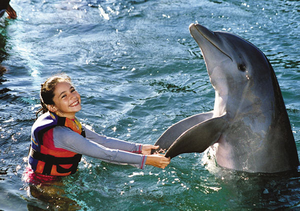 Dolphin Discovery at Moon Palace Golf & Spa Resort